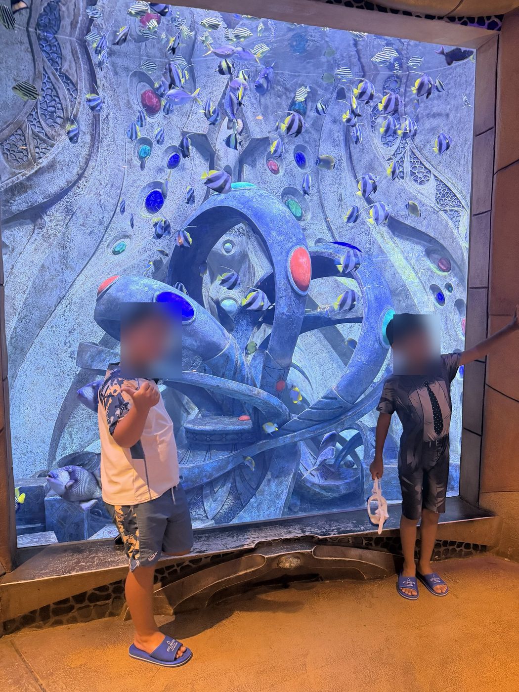 Kids at an indoor climbing wall