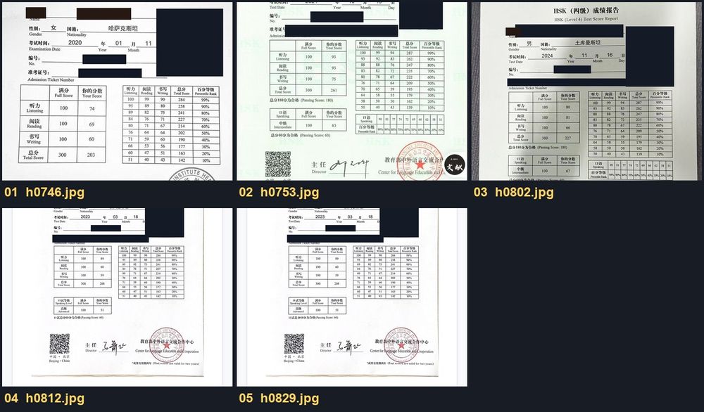 HSK score report (details masked)